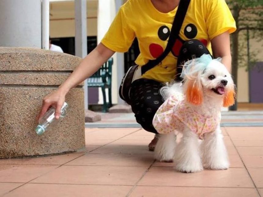 Ordinanza di pulizia deiezioni liquide canine – Comune di IGLESIAS