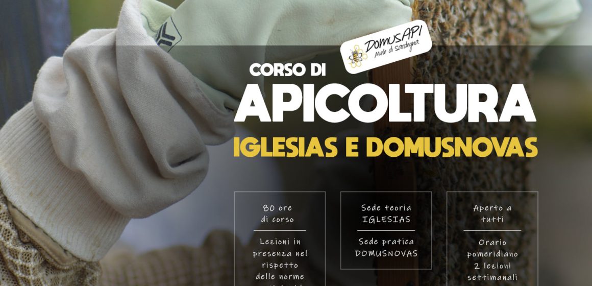 🐝🌻🌞 𝗖𝗼𝗿𝘀𝗼 𝗱𝗶 𝗮𝗽𝗶𝗰𝗼𝗹𝘁𝘂𝗿𝗮 𝗮 𝗜𝗴𝗹𝗲𝘀𝗶𝗮𝘀 𝗲 𝗗𝗼𝗺𝘂𝘀𝗻𝗼𝘃𝗮𝘀