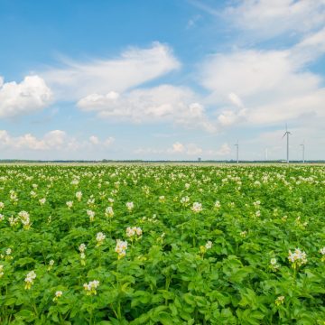 🐷🐮🐥 Lavorare nelle fattorie in Svizzera con Agriviva