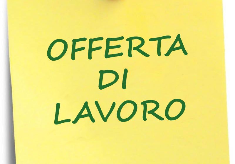 🔎 OFFERTA DI LAVORO: DOCENTI/FORMATORI/ESPERTI DI SETTORE