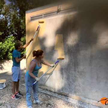 Immagine da Il Portale dei Giovani