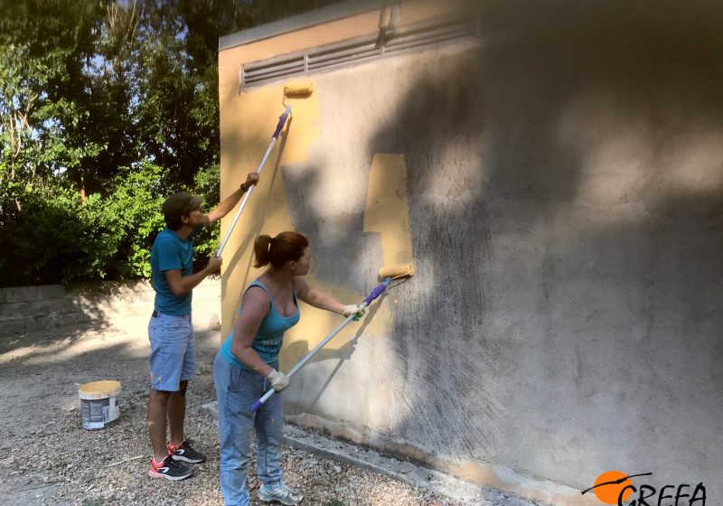 Immagine da Il Portale dei Giovani