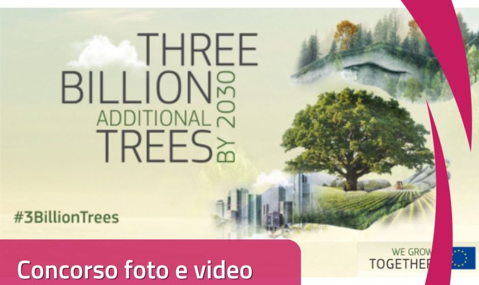 Immagine da Il Portale dei Giovani