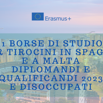 Immagine da Il Portale dei Giovani