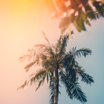 Foto di arty su Unsplash