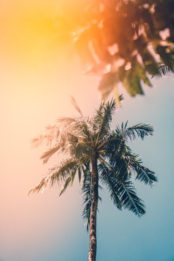 Foto di arty su Unsplash