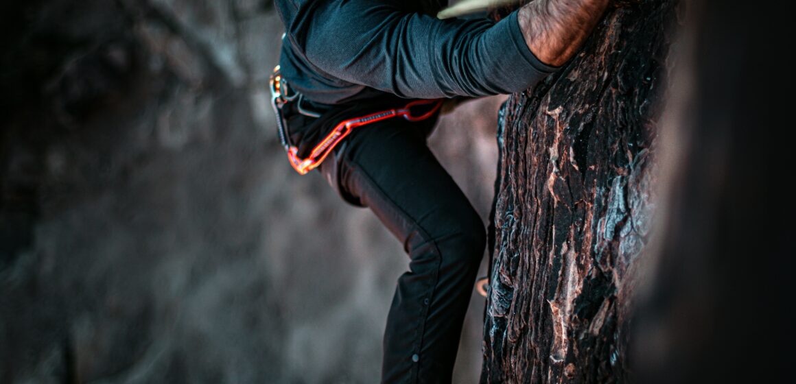 Foto di Patrick Hendry su Unsplash